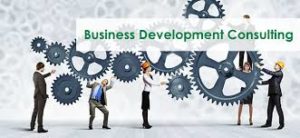 Business Development Consulting Business plan in Nigeria