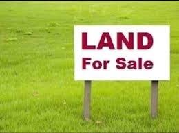 Land Rental and Sale Business Plan in Nigeria
