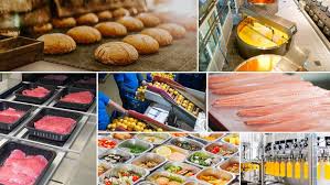 Food Processing Business Plan in Nigeria