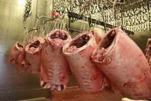 abattoir business plan in nigeria