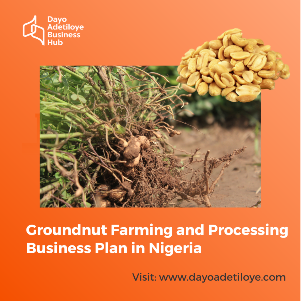 business plan for groundnut processing pdf