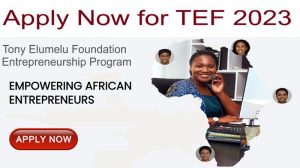 Review Your TEF Business plan summary and video before you apply for the 2023 Edition