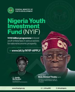 Nigeria Youth Investment Fund 1