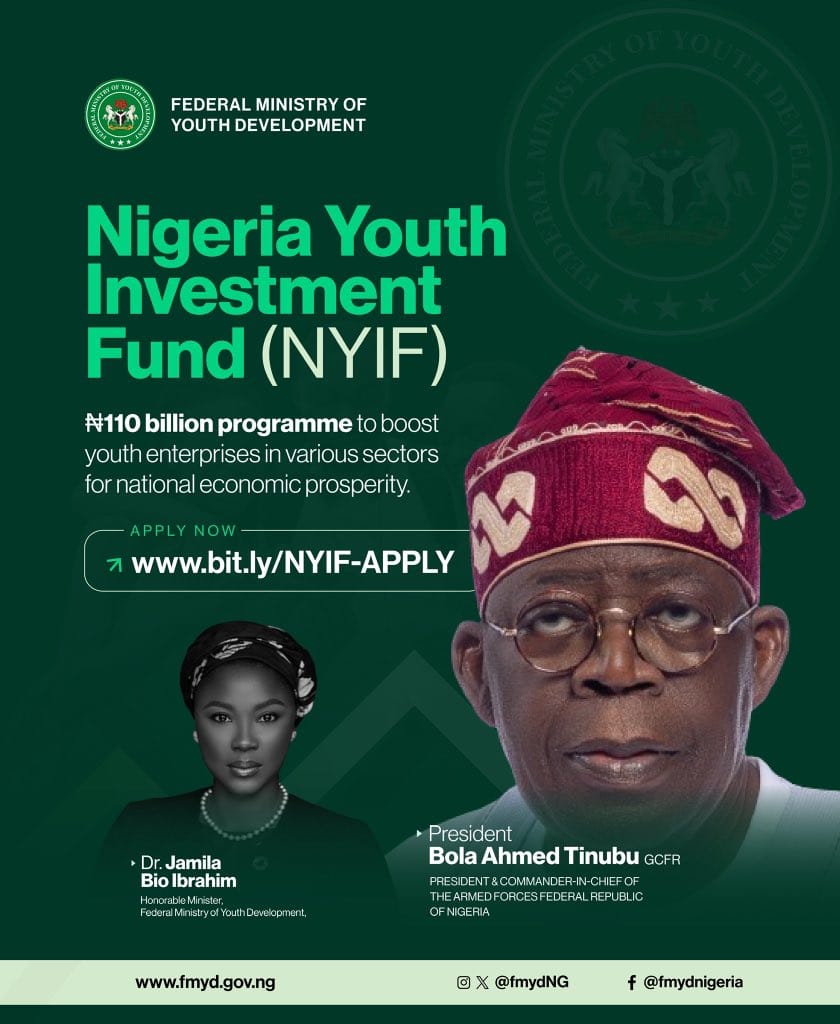 Top 7 Mistakes to Avoid When Applying for Nigeria Youth Investment Fund NYIF 2024