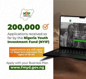 Top 10 Business Sectors and Ideas that Can Win Nigeria Youth Investment Fund